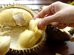 Durian, Fakta dan Mitos!
